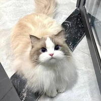 009—Miu °Hệ thống°