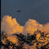 Sky?[ Lưu Hàn Thiên ]