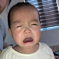 tác giả skibidi
