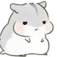 Hs - Viet Nam và vài người