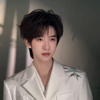 Hạ Tuấn Lâm (em)