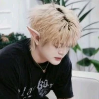 Nguyễn Quang Anh(Rhyder)