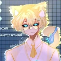 hiha anti catnap