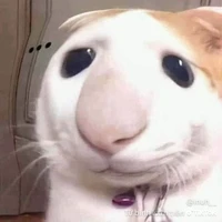 Tổng đài kẻ hủy diệt sắc đẹp