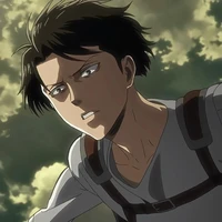 Levi