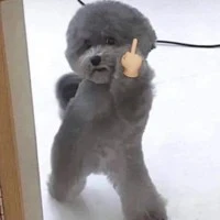 ????