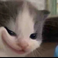 t/g lườiiiii [ Mikato]