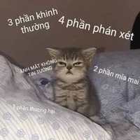 cân mọi vai diễn