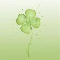 Cá Nhỏ🐡🌷🍀