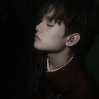 Bùi Trường Linh