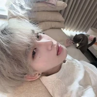 Cách Hàn Minh_mark