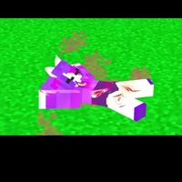 yum mèo