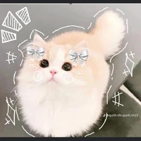 Con lười 🦥🩵