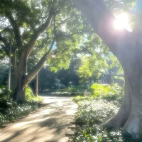 nhân vật bí ẩn