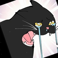 tác giả cute meo meo