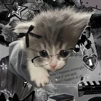 tác giả cute meo meo