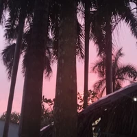 TG bị mù