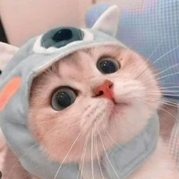 hệ thống 001