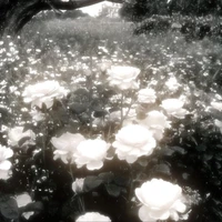 ý thức thứ 2 của tg