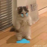 Tác Giả Đang Bị Khùng