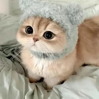 Dàn con của Cei