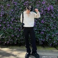 Phạm đình Thái ngân ( ba anh )