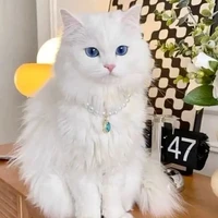 Bông