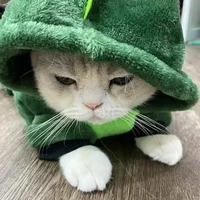 meomeoyen