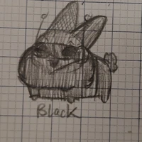 Black (Tg/p)