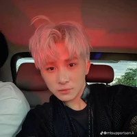 Lê Hồng Sơn