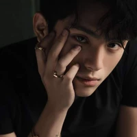 Đoàn Thế Lân_Grey D