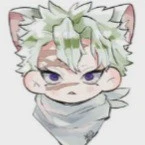 sẹo[shinazugawa sanemi phiên bản mèo]