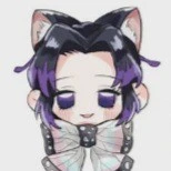 chị điệp[kocho shinobu phiên bản mèo]