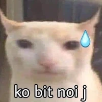 NV phụ 0_o