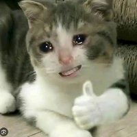 tác giả ngu văn =((