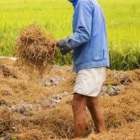 Ba cậu