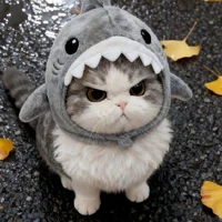 𝙱𝚊́𝚌𝚑 𝚋𝚊̉𝚗𝚑 𝚋𝚊𝚗𝚑- 𝚁𝚞𝚗𝚊