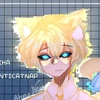 hiha anti catnap