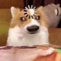 mất não tạm thời ( tác giả )