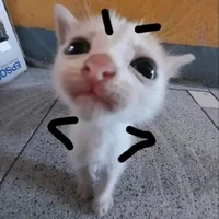 hệ thống của zanis