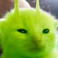 lee