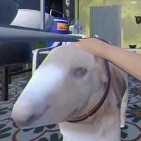 🎉👣cậu vàng cân tất💫💥