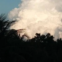 🫧T/G Ogin 👑✨