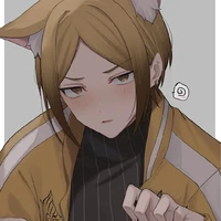 Sako Kota