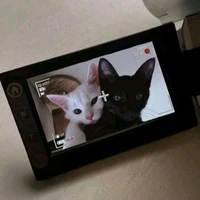 nắng hạ˗ˏˋ ★ ˎˊ˗