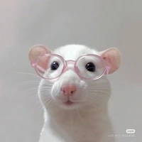 𝗆𝖾𝗋𝖼𝗒