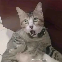 hệ thộng đzai số 1 thế giới