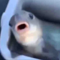 Tổng Hứa cuti🥰