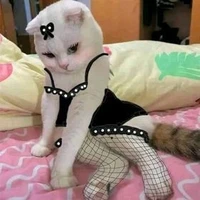hệ thống_cj mèo slay