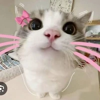 t/g💕